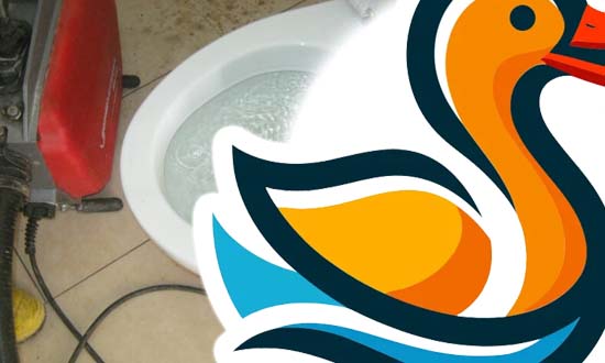 Tuvalet Tıkanıklık Açma